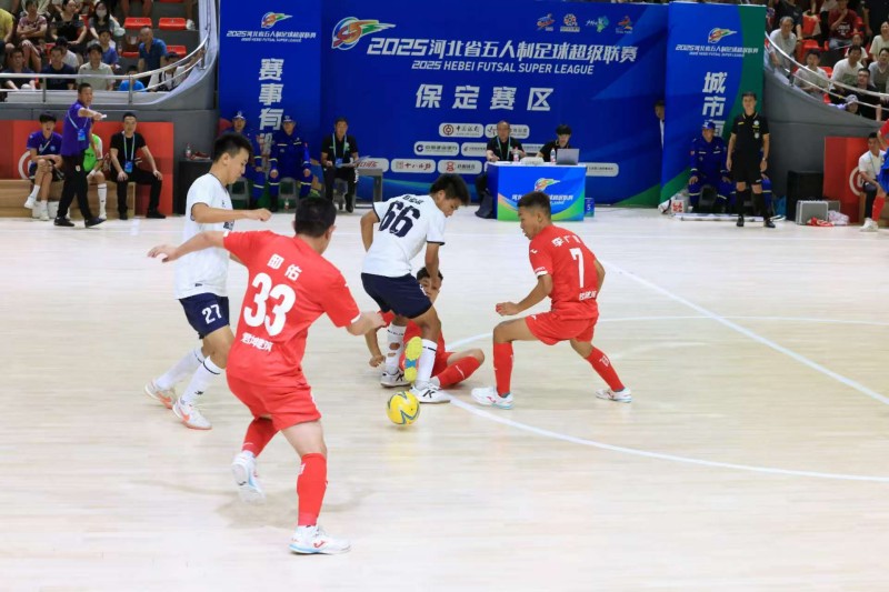 他们以不同 他们以不同